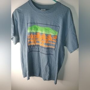 Delta Women's  Graphic Tee in Blue with Green and Orange Accents